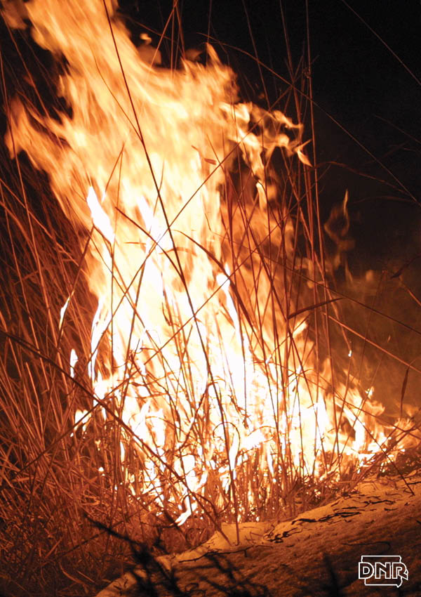 Iowa Outdoors magazine answers the question - why is fire red and yellow? | Iowa DNR